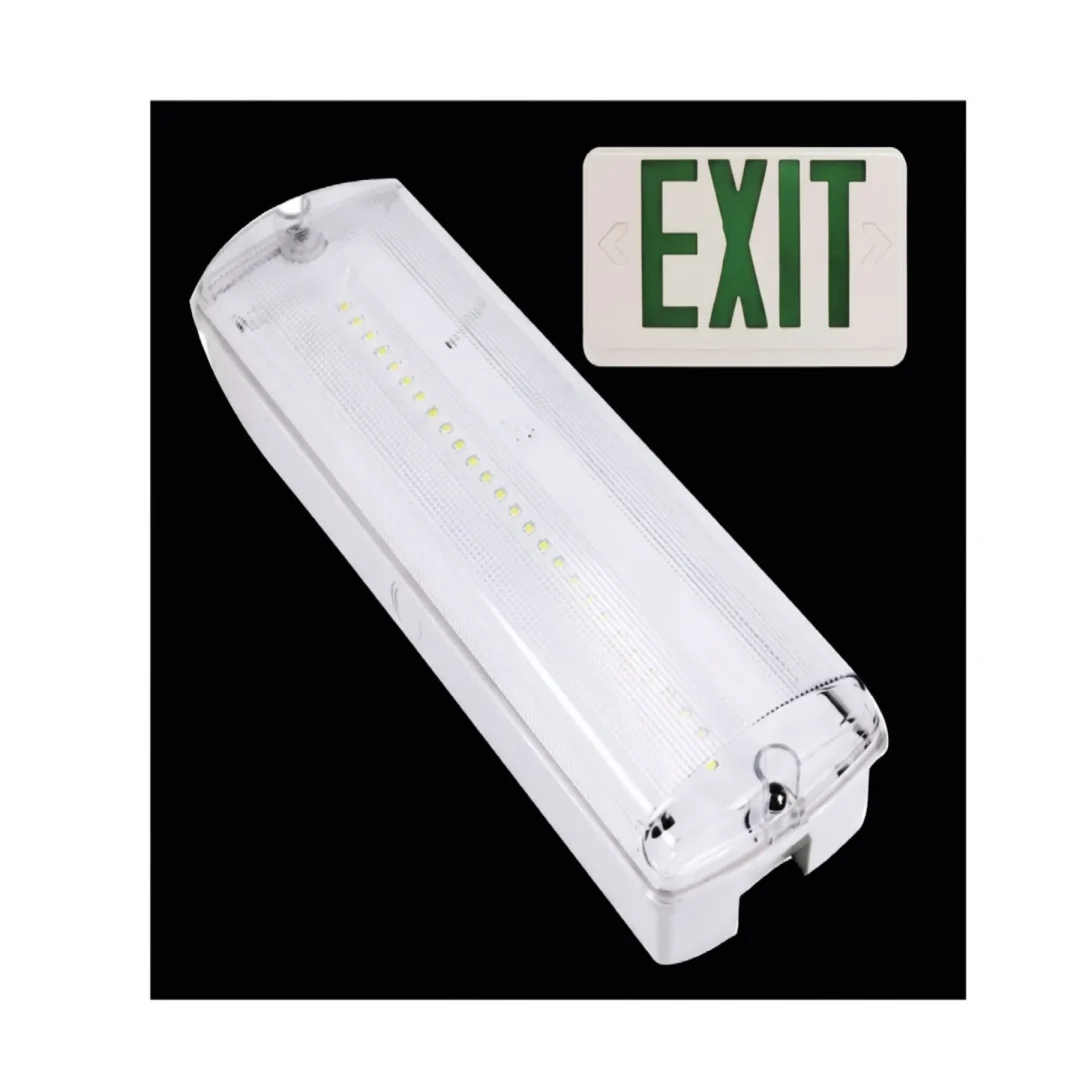 EXIT LIGHT_optimized